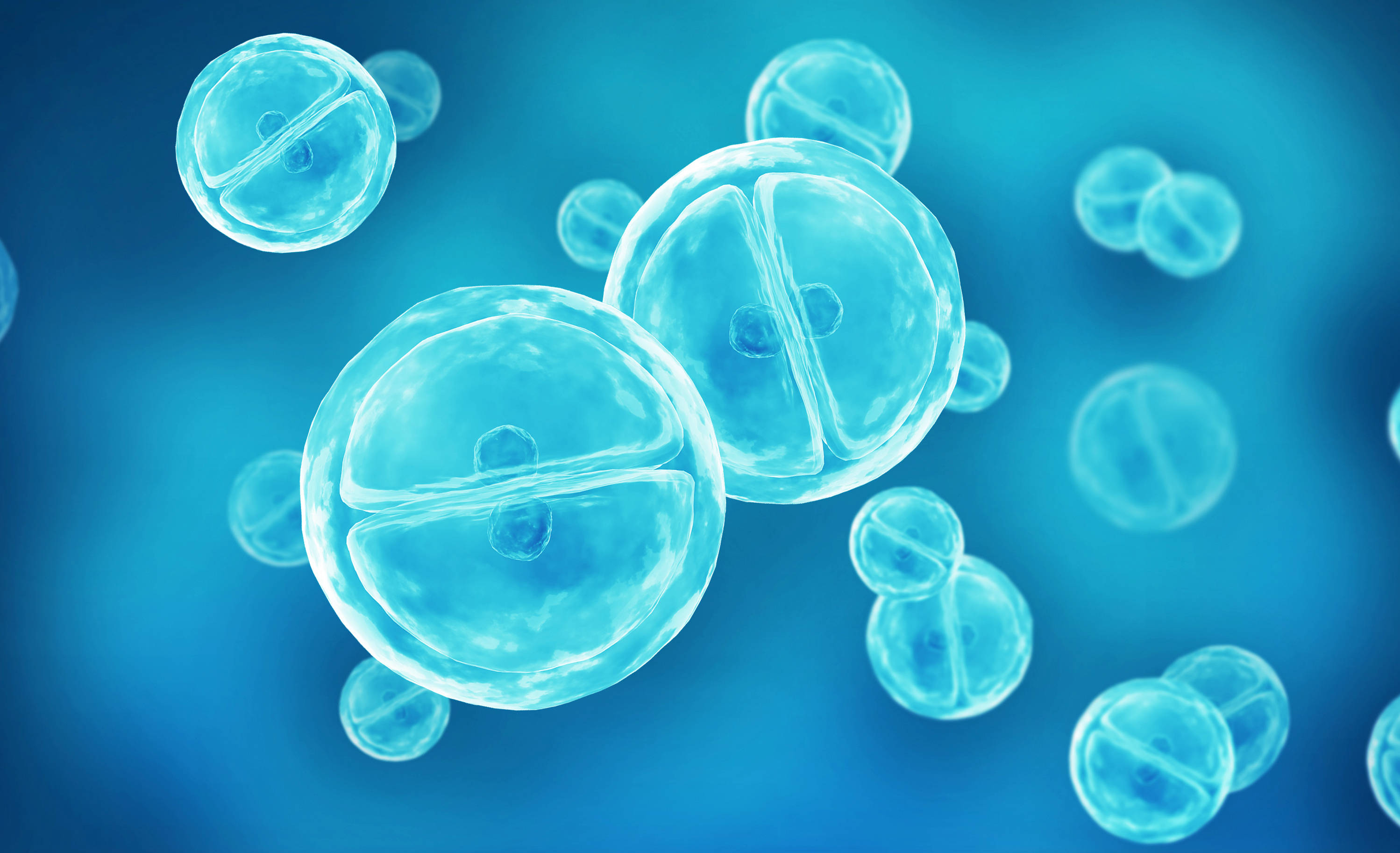 技术支持丨细胞培养和细胞消化操作过程小贴士