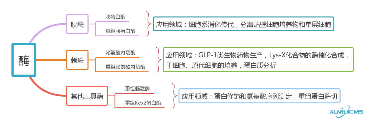 微信图片_20241017165639