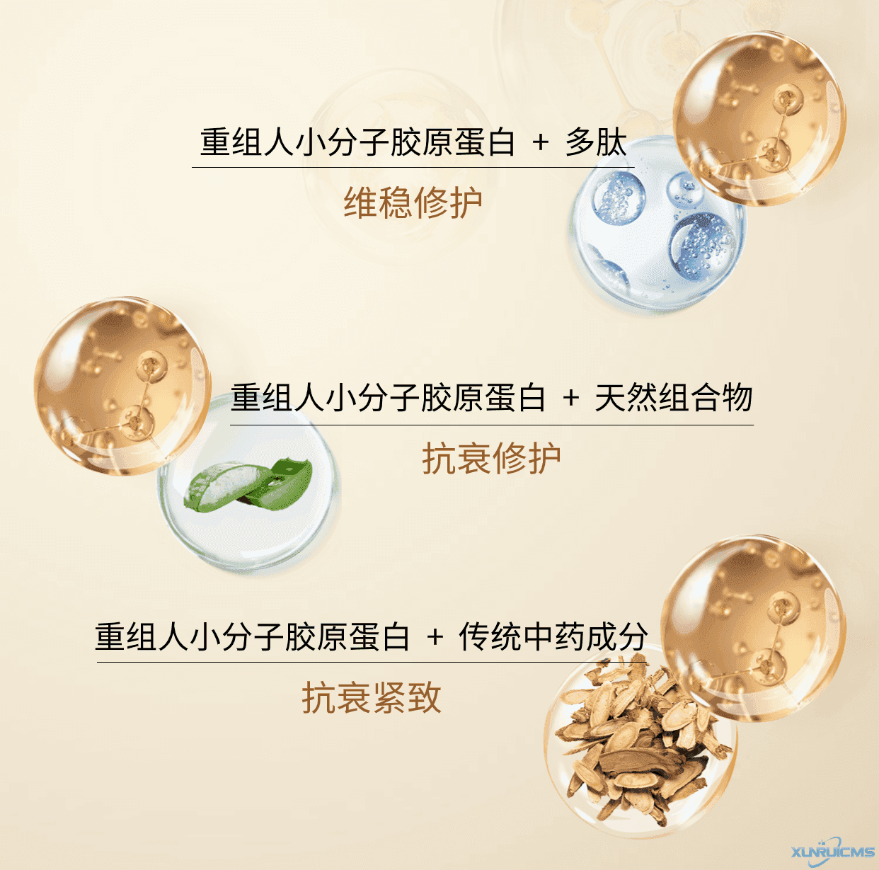 微信图片_20241021170242
