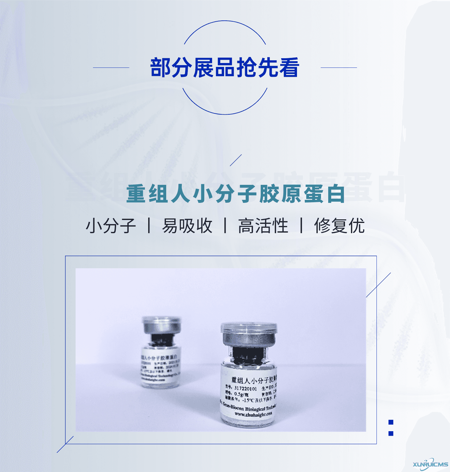 微信图片_20241022155025