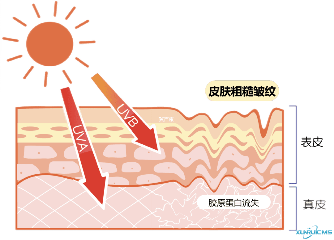 微信图片_20241023134001