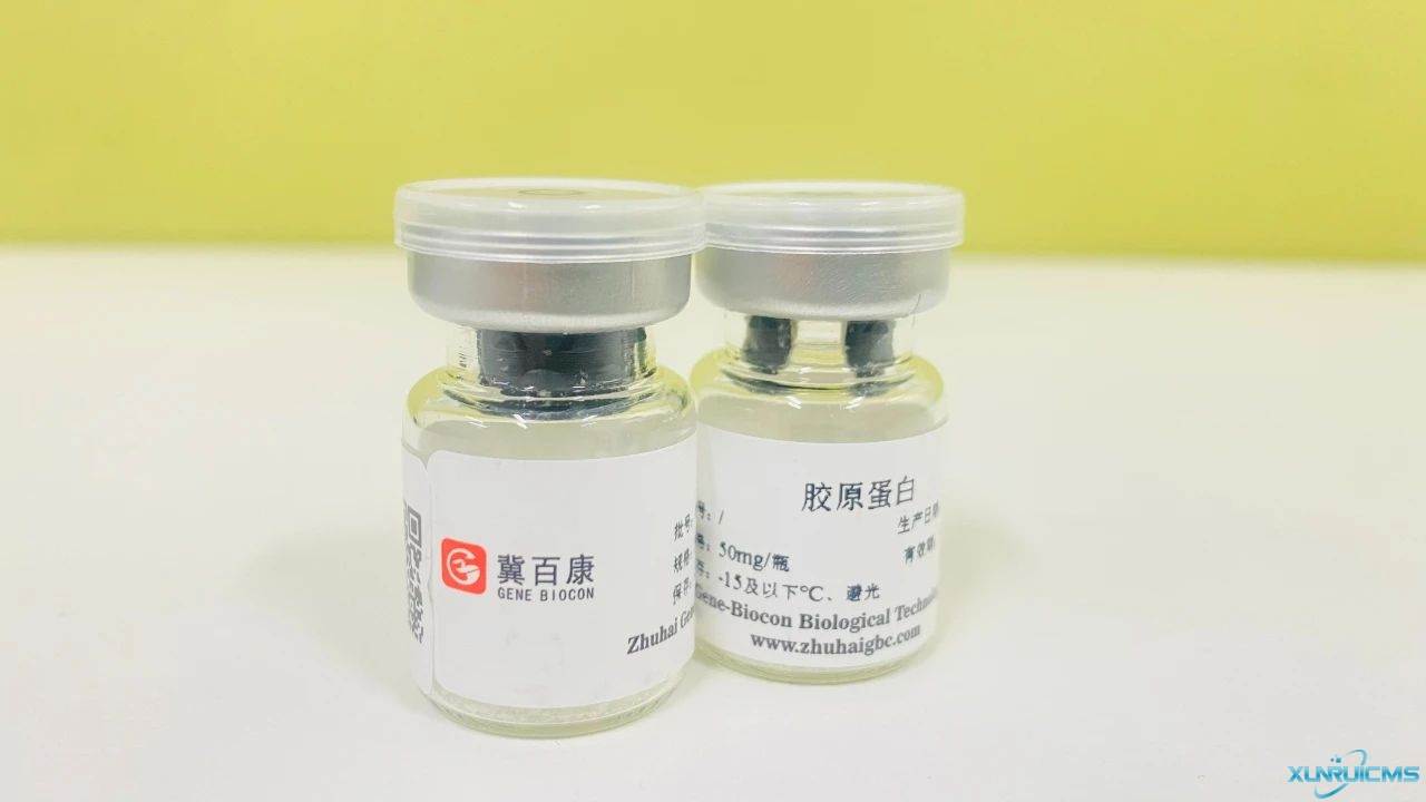 微信图片_20241023160830