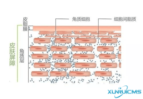 微信图片_20241024173100