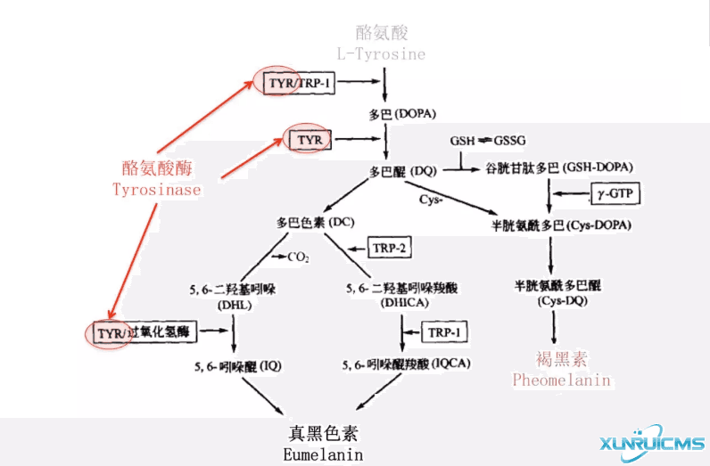 微信图片_20241024211626