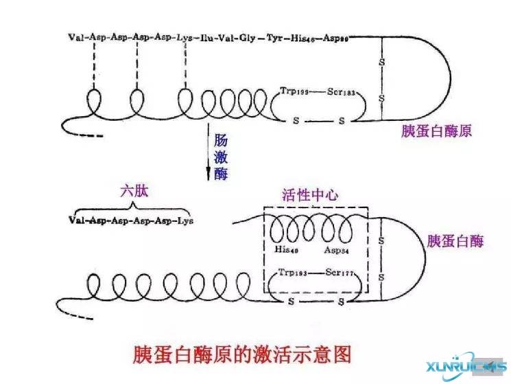 微信图片_20241029135842