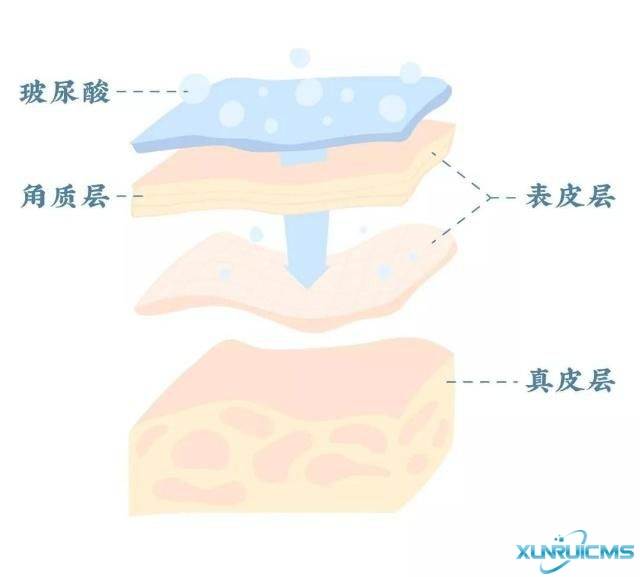 微信图片_20241029171259