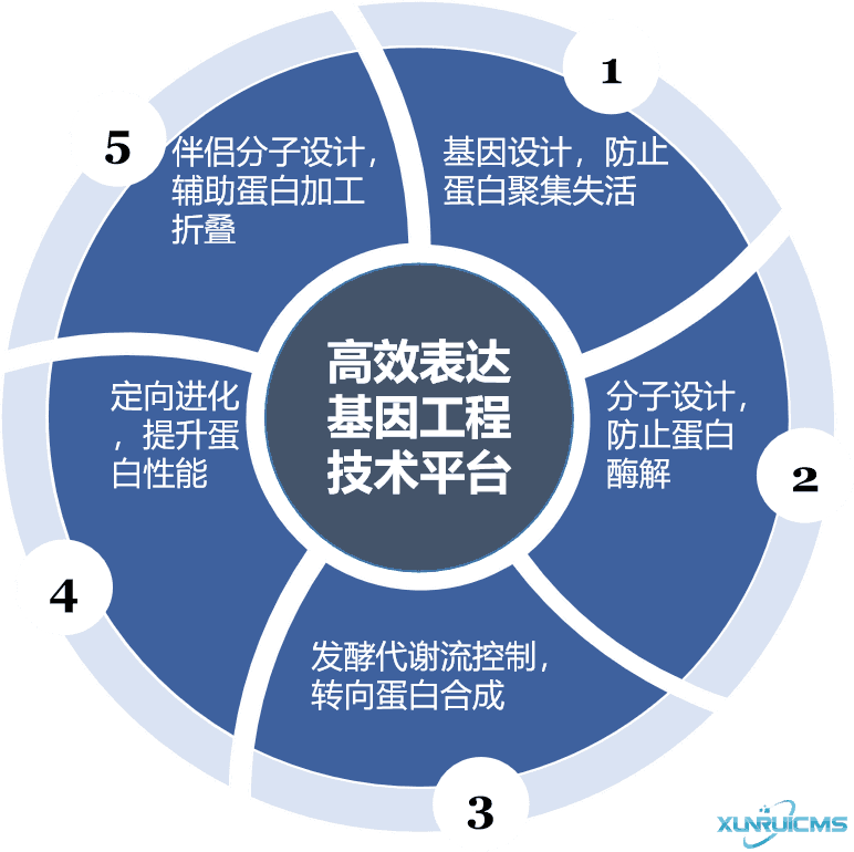 微信图片_20241030101252