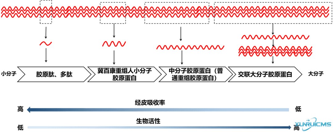 微信图片_20241101134456