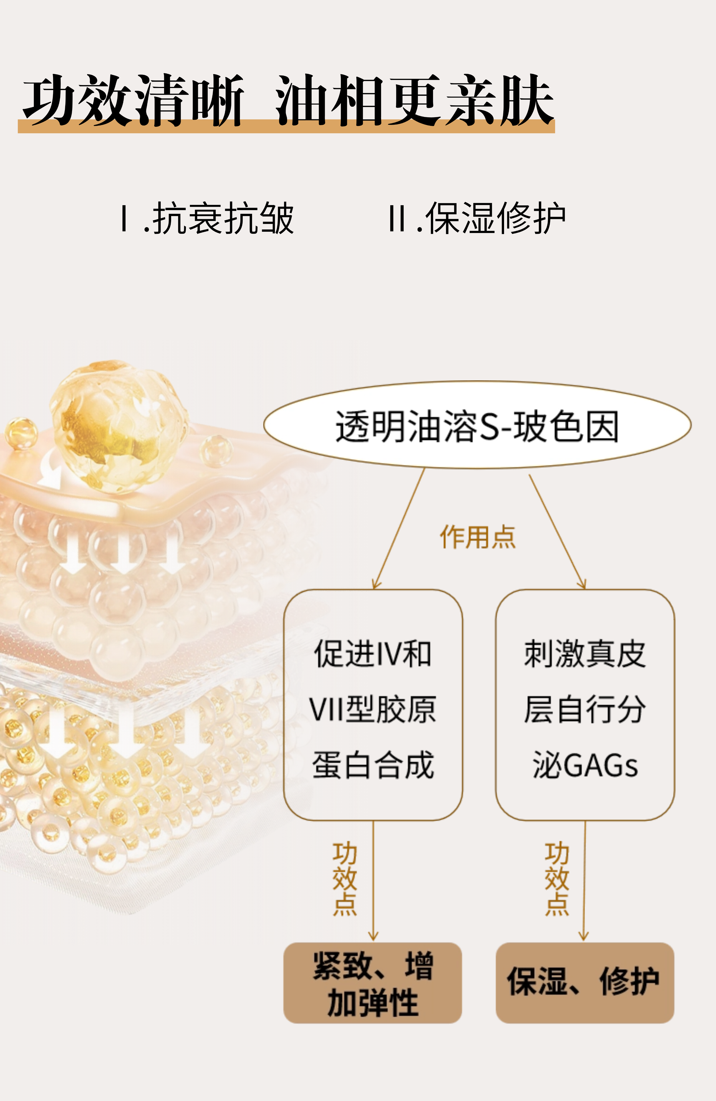 切图_透明油溶S-玻色因-7.png